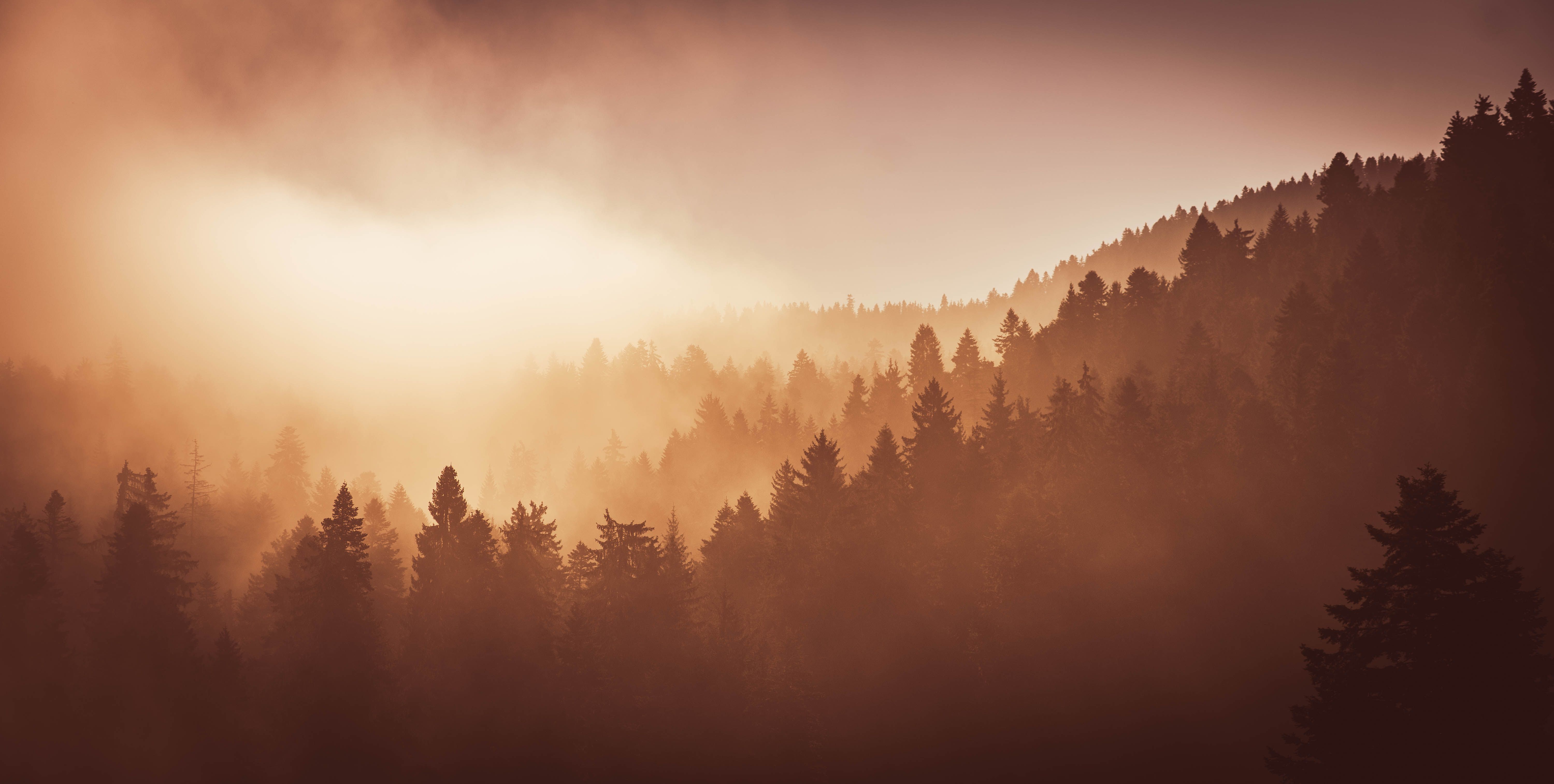 The reputation trap of leadership